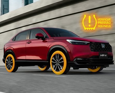 Prancheta 10 copiar 5